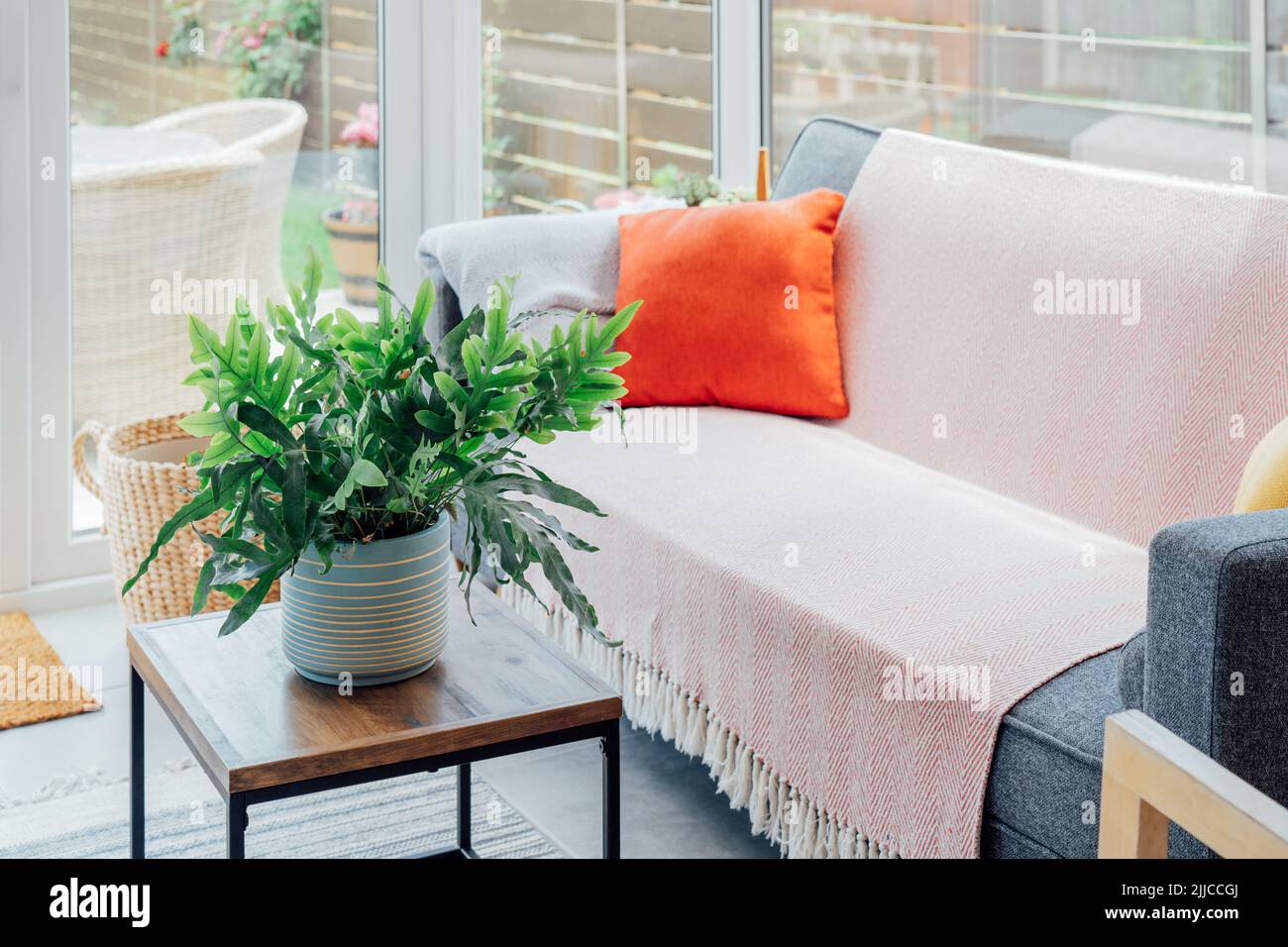 Gemütliches, helles Wintergarteninterieur-Design mit grauem Sofa, dekoriert mit hellem Textilbezug und Kissen und vielen grünen Hauspflanzen. Hygge Home inter Stockfoto