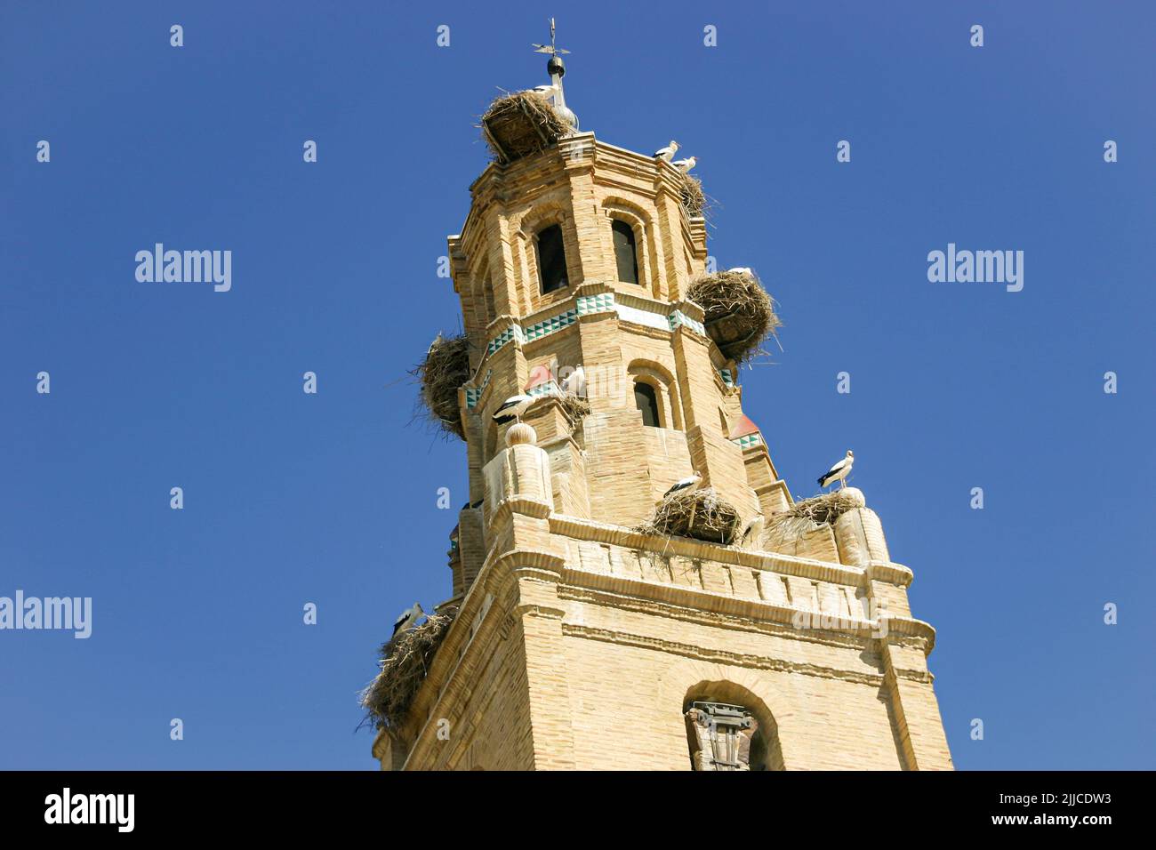 Eine Kolonie von Weißstörchen brütet auf der Iglesia Santa Maria in Ejea de los Caballeros, Spanien Stockfoto