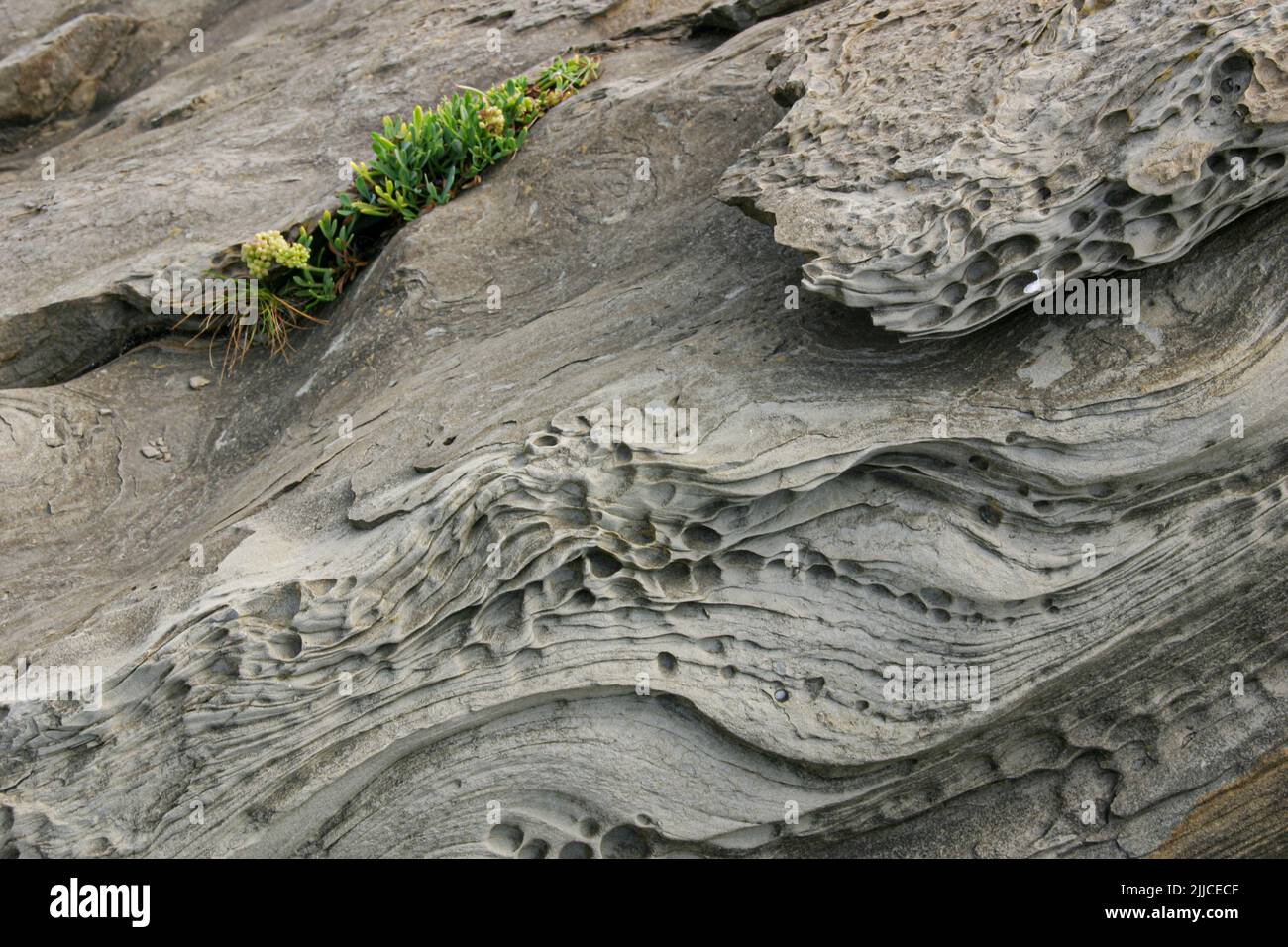 Bizarr verwitterte Felsen an einem Strand in der Nähe von Zarautz in Nordspanien Stockfoto