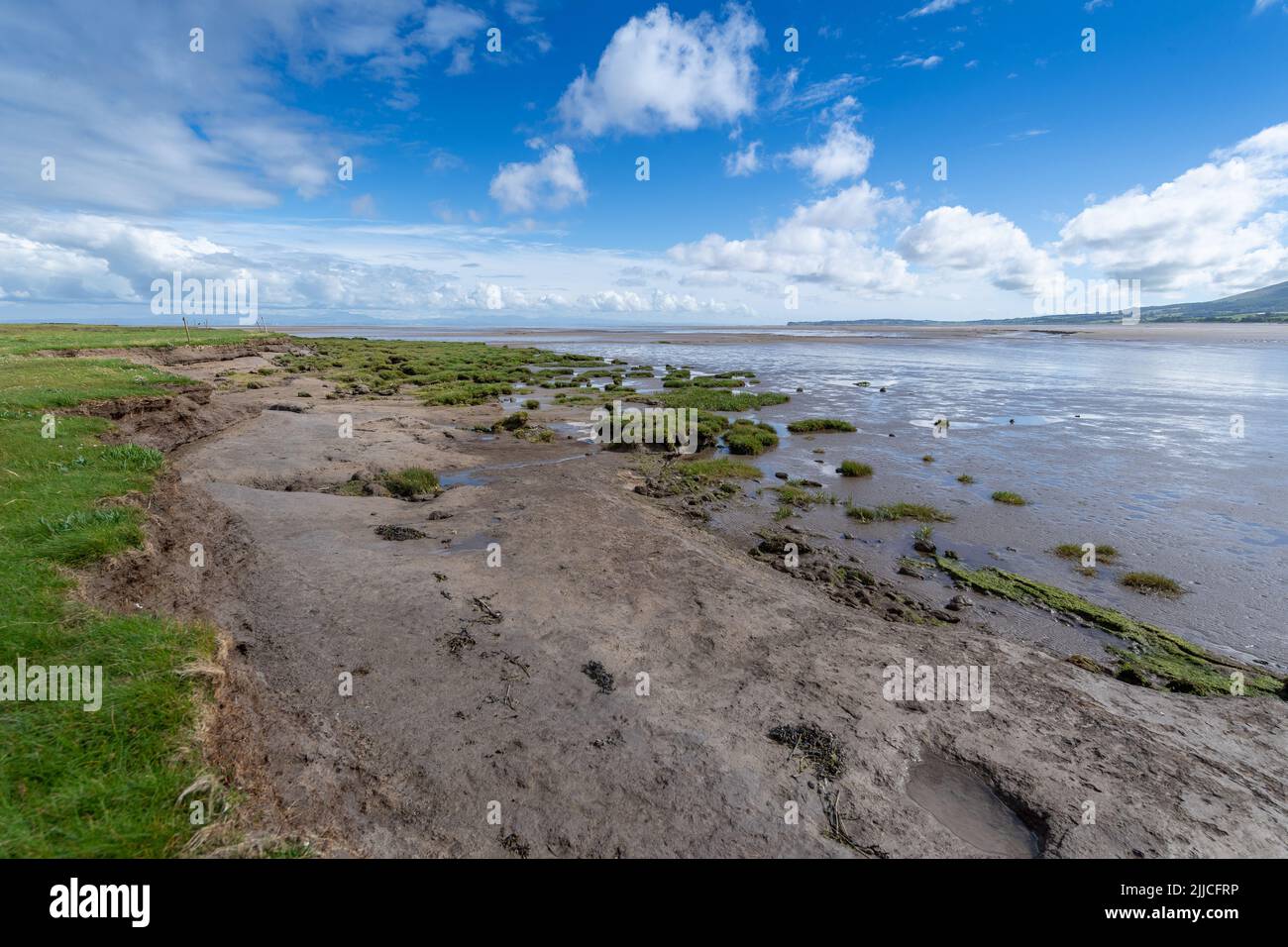 Saltmarsh Habitat in der Nähe des Naturreservats Caerlaverock an der Mündung des Solway in Dumfries, Schottland, Großbritannien. Stockfoto