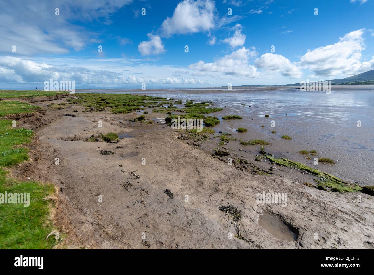 Saltmarsh Habitat in der Nähe des Naturreservats Caerlaverock an der Mündung des Solway in Dumfries, Schottland, Großbritannien. Stockfoto