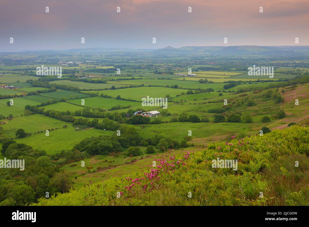 Landschaftsansicht von Carlton Bank mit Blick auf Roseberry Topping, North Yorkshire Moors National Park, England, Großbritannien. Stockfoto