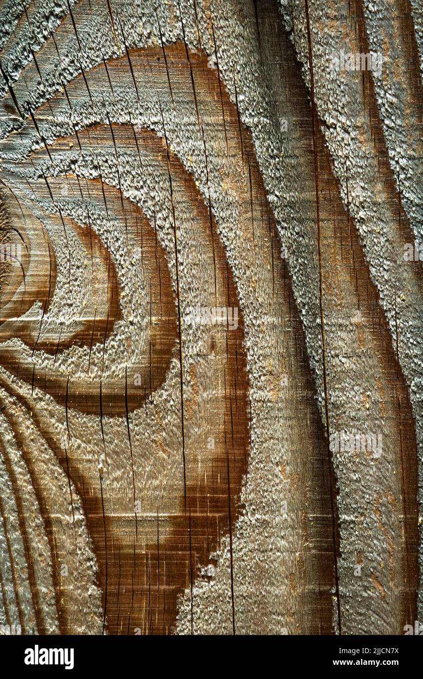 Nahaufnahme der strukturierten Holzoberfläche mit natürlichen Mustern und Korndetails Stockfoto