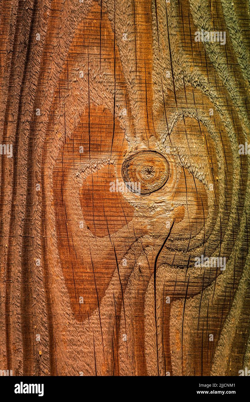 Nahaufnahme der strukturierten Holzoberfläche mit natürlichen Mustern und Korndetails Stockfoto
