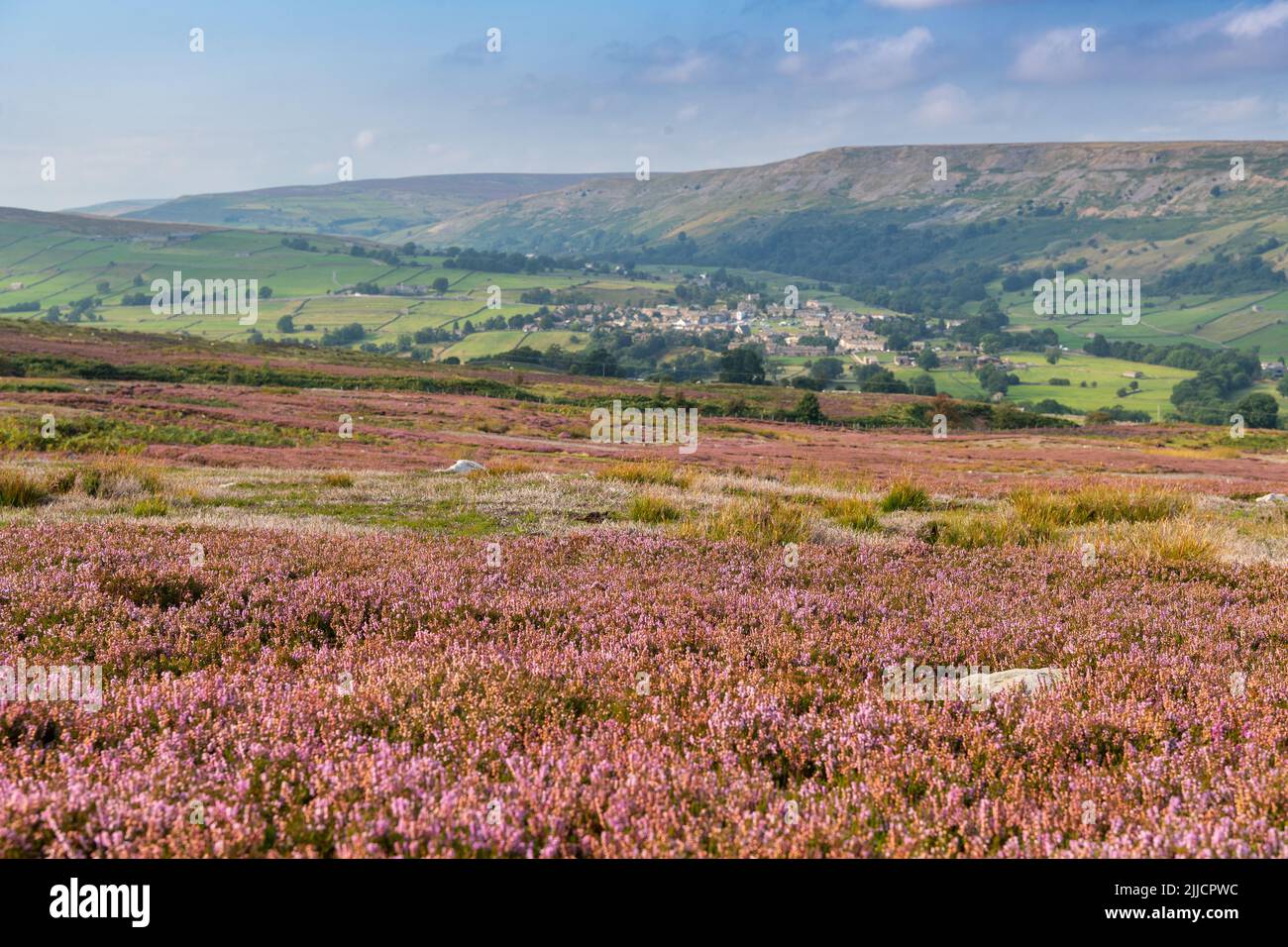 Gut geführtes Heidemoor im Spätsommer, mit Blick auf Reeth im Yorkshire Dales National Park, Großbritannien. Stockfoto