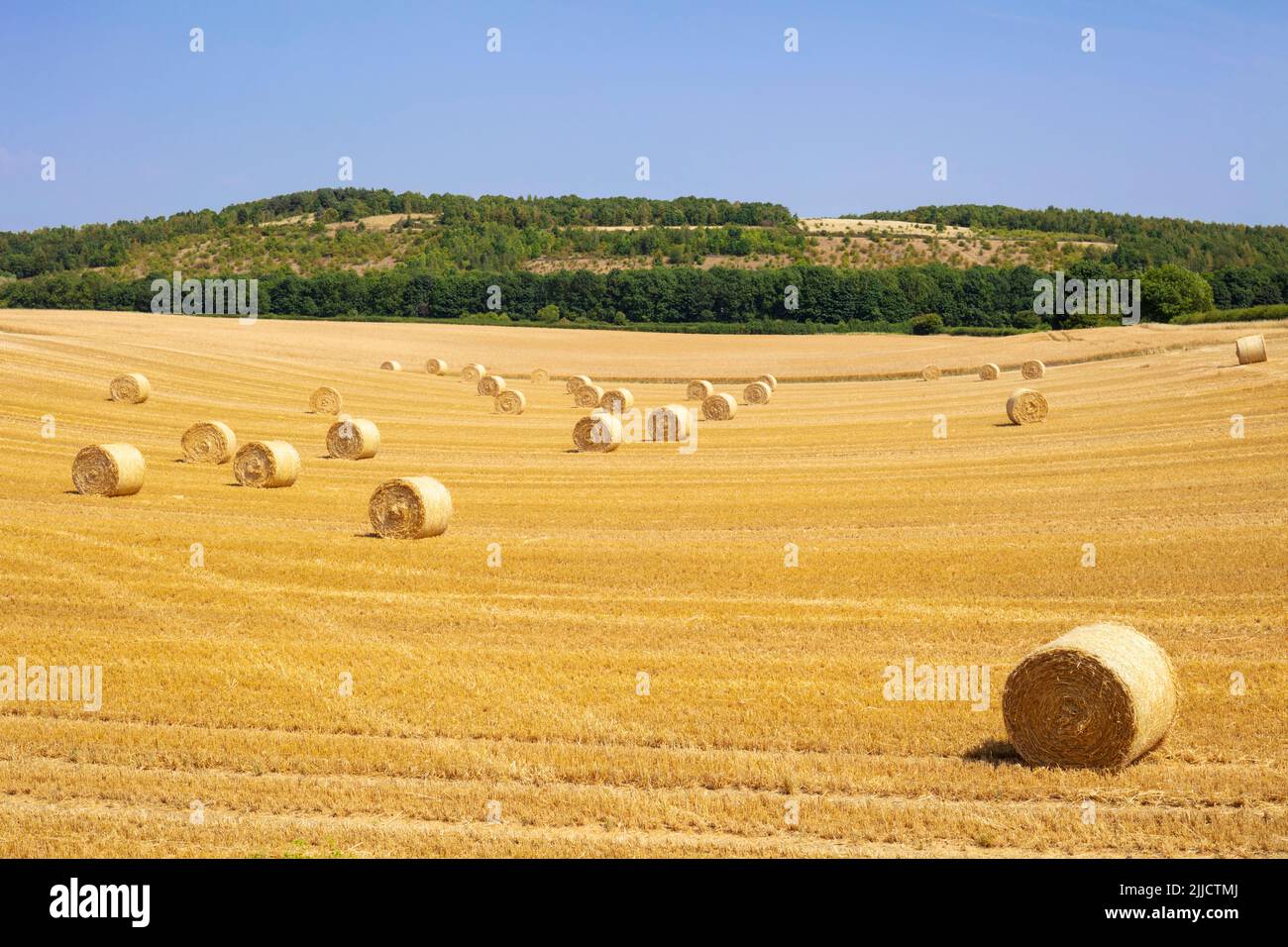 Heuballen uk Sommer - Strohballen-Rollen - Heuballen nach der Ernte auf einem Feld gerollt South Yorkshire England GB Europa Stockfoto