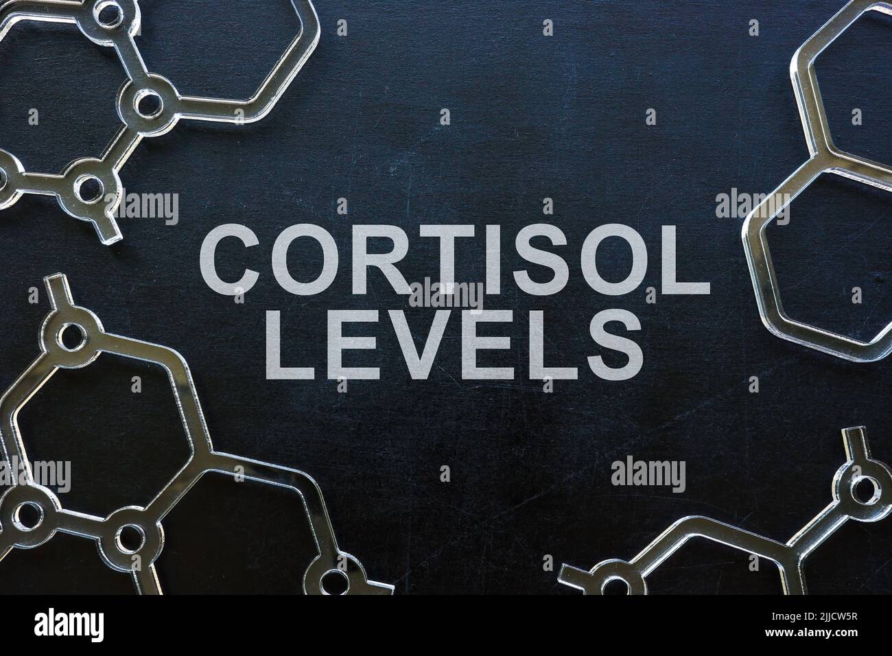 Cortisol-Phrase auf der Tafel und Molekülmodellen. Stockfoto