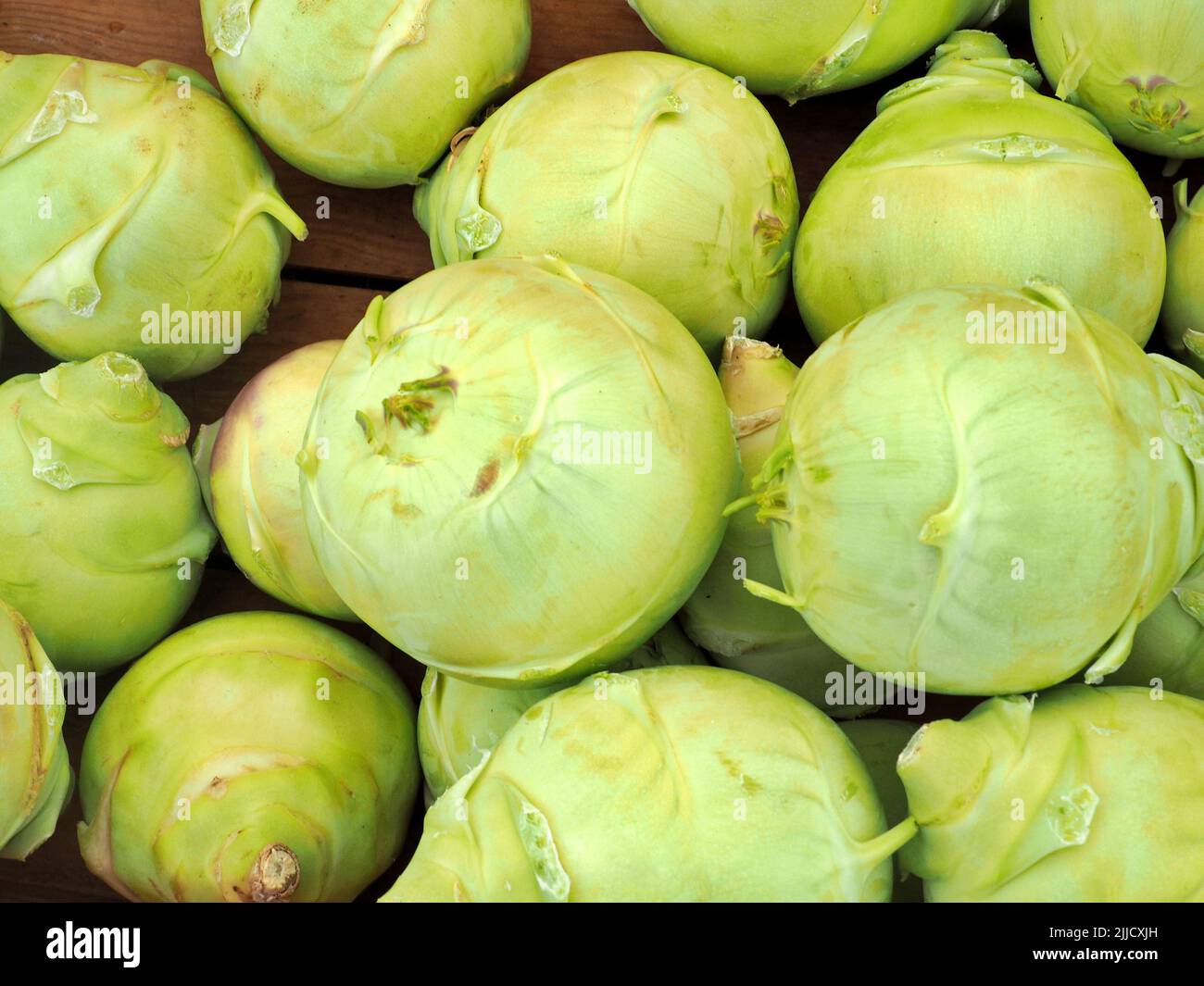 Frische Bio-Tomotillos in Stand am Eugene Samstagsmarkt Stockfoto