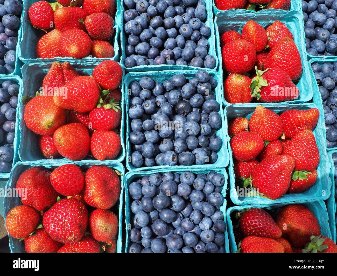 Frische Bio-Himbeeren und Heidelbeeren in Körben auf dem Eugene Saturday Market Stockfoto