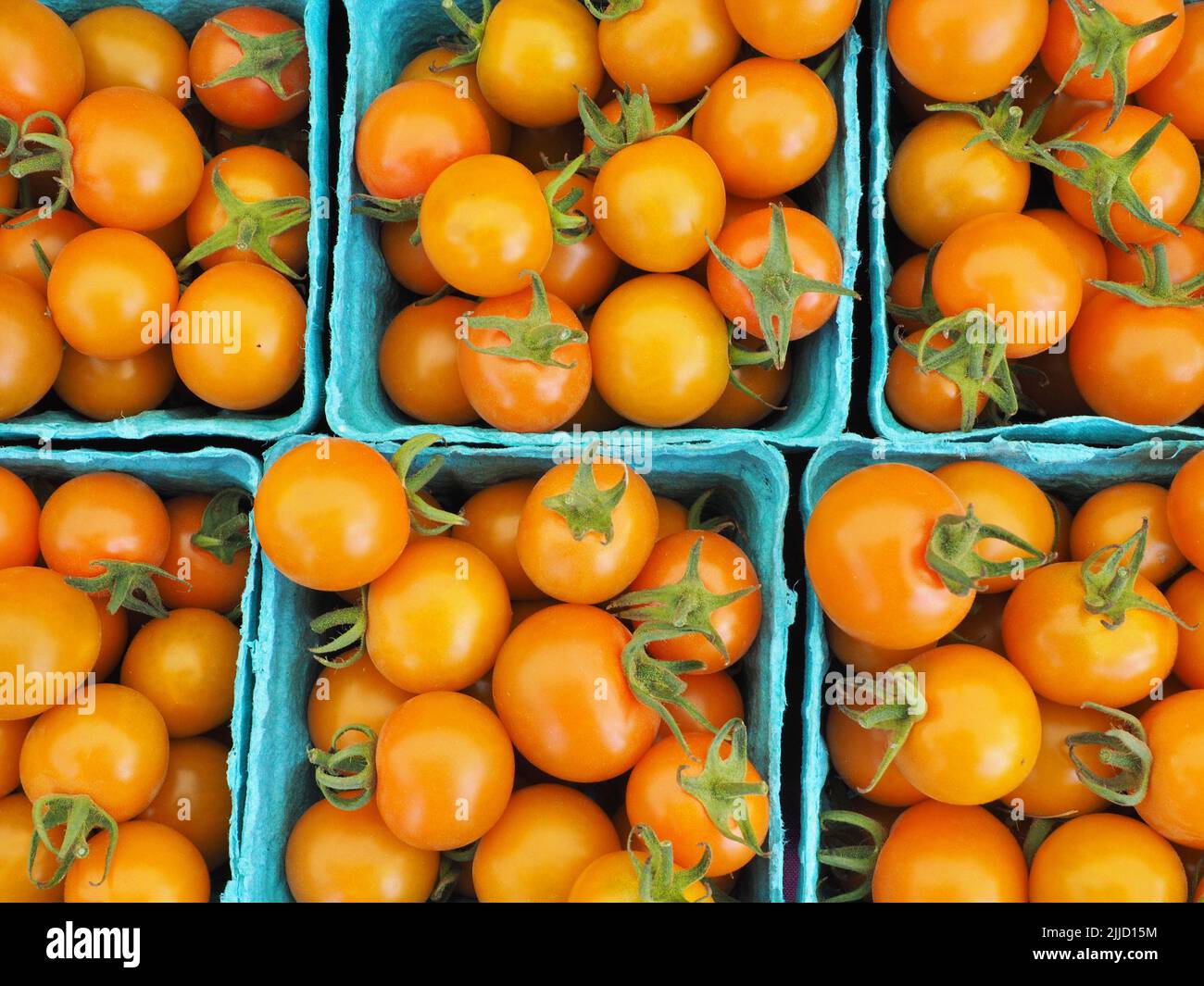 Frische Bio kleine rote Tomaten in Körben auf eugene samstagsmarkt Stockfoto