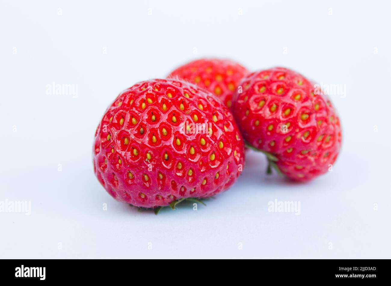 Erdbeerfrüchte isoliert auf weißem Hintergrund. Nahaufnahme von Erdbeeren. Stockfoto