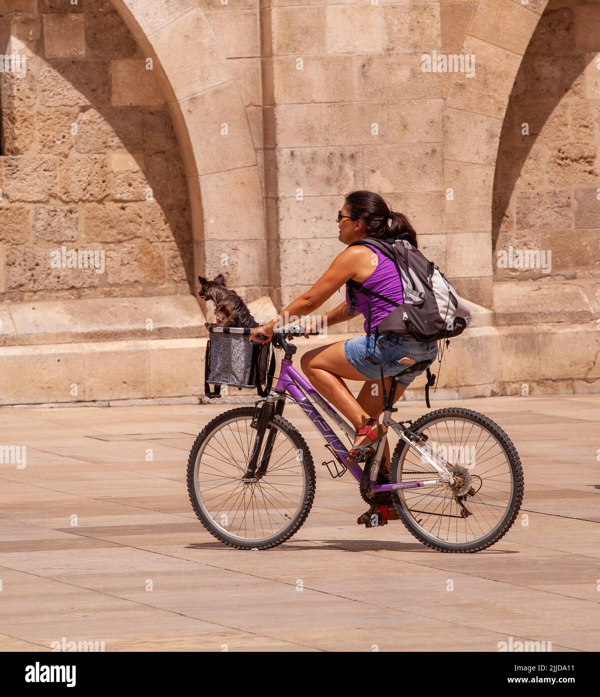 Frau auf dem Fahrrad / Fahrrad mit einem Hund in einem Korb auf der Vorderseite ihres Fahrrads auf der plaza Maria in der spanischen Stadt Burgos Spanien Stockfoto