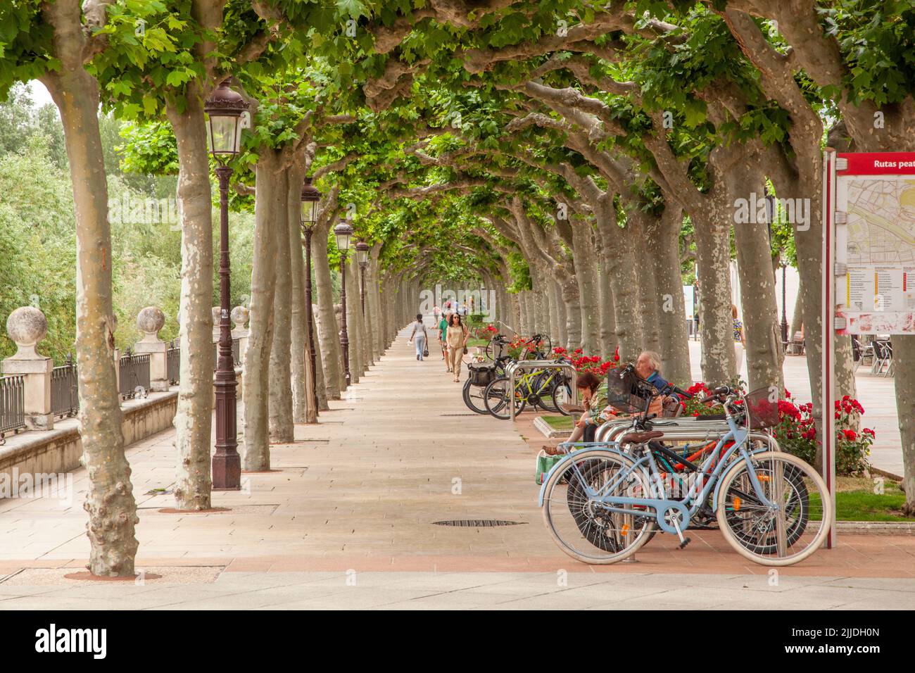 Der von Bäumen gesäumte Fußgängerweg. Paseo del Espolon in der spanischen Stadt Burgos Spanien Stockfoto