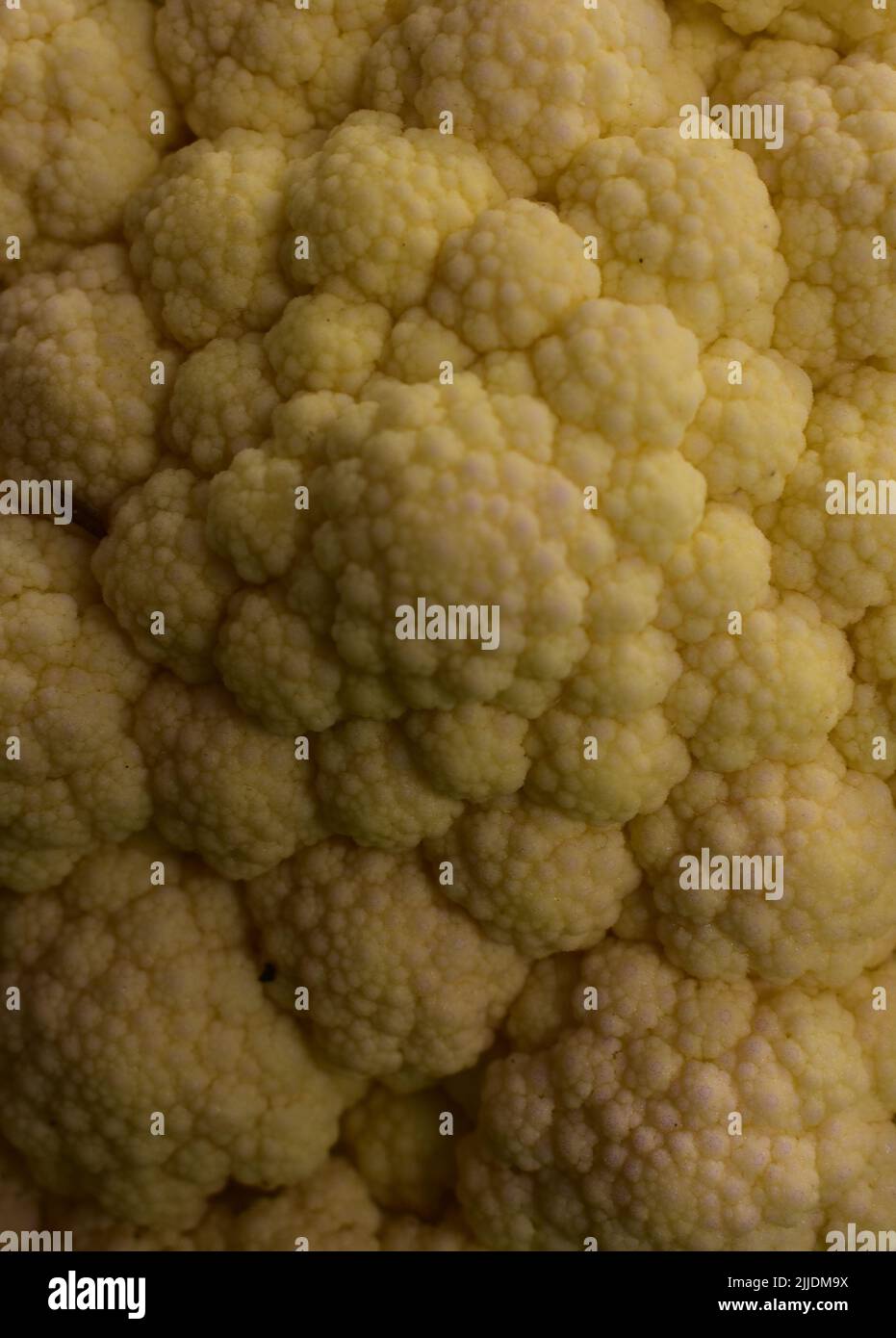Nahaufnahme Eines ungekochten Blumenkohls Stockfoto