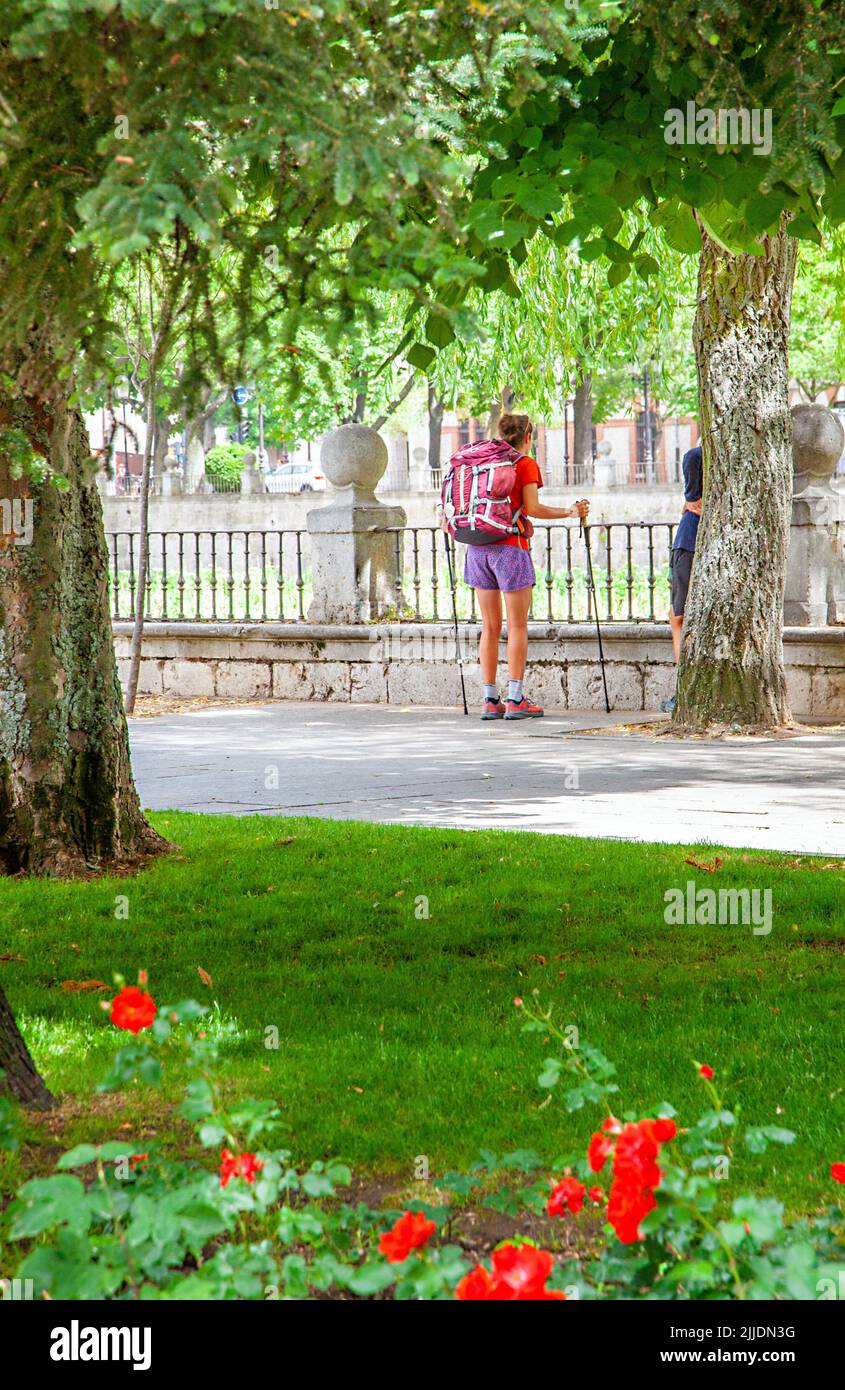 Pilgrimage route Fotos und Bildmaterial in hoher Auflösung Alamy