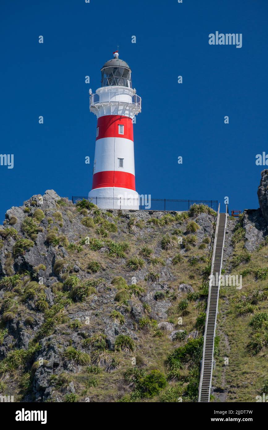 Cape Palliser Leuchtturm mit den 252 Holztreppen, die zu ihm hinaufführen. Das Hotel liegt an der Palliser Bay, die am südlichen Ende der Nordinsel von New liegt Stockfoto