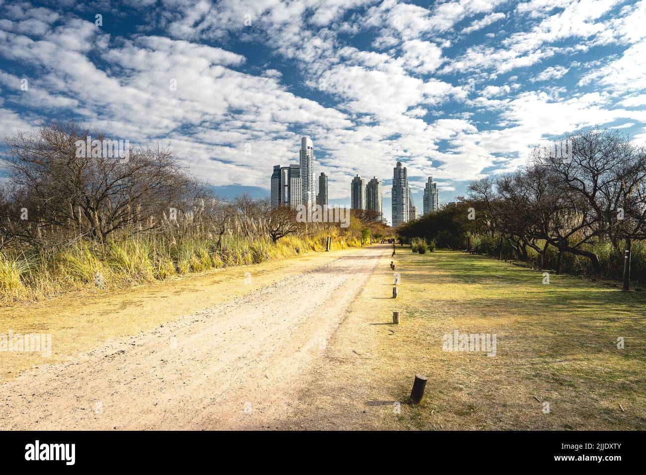 Blick auf die Skyline von Puerto madero, Buenos Aires. Costanera Sur. Stockfoto