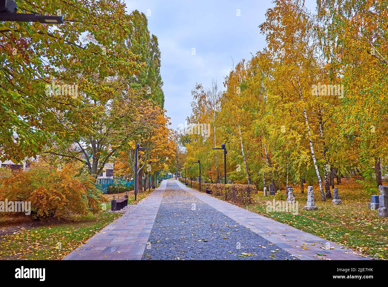 The Road of Sorrow im Holocaust-Memorial-Park Babyn Yar, gesäumt von leuchtend gelben Herbstbirken, Kiew, Ukraine Stockfoto