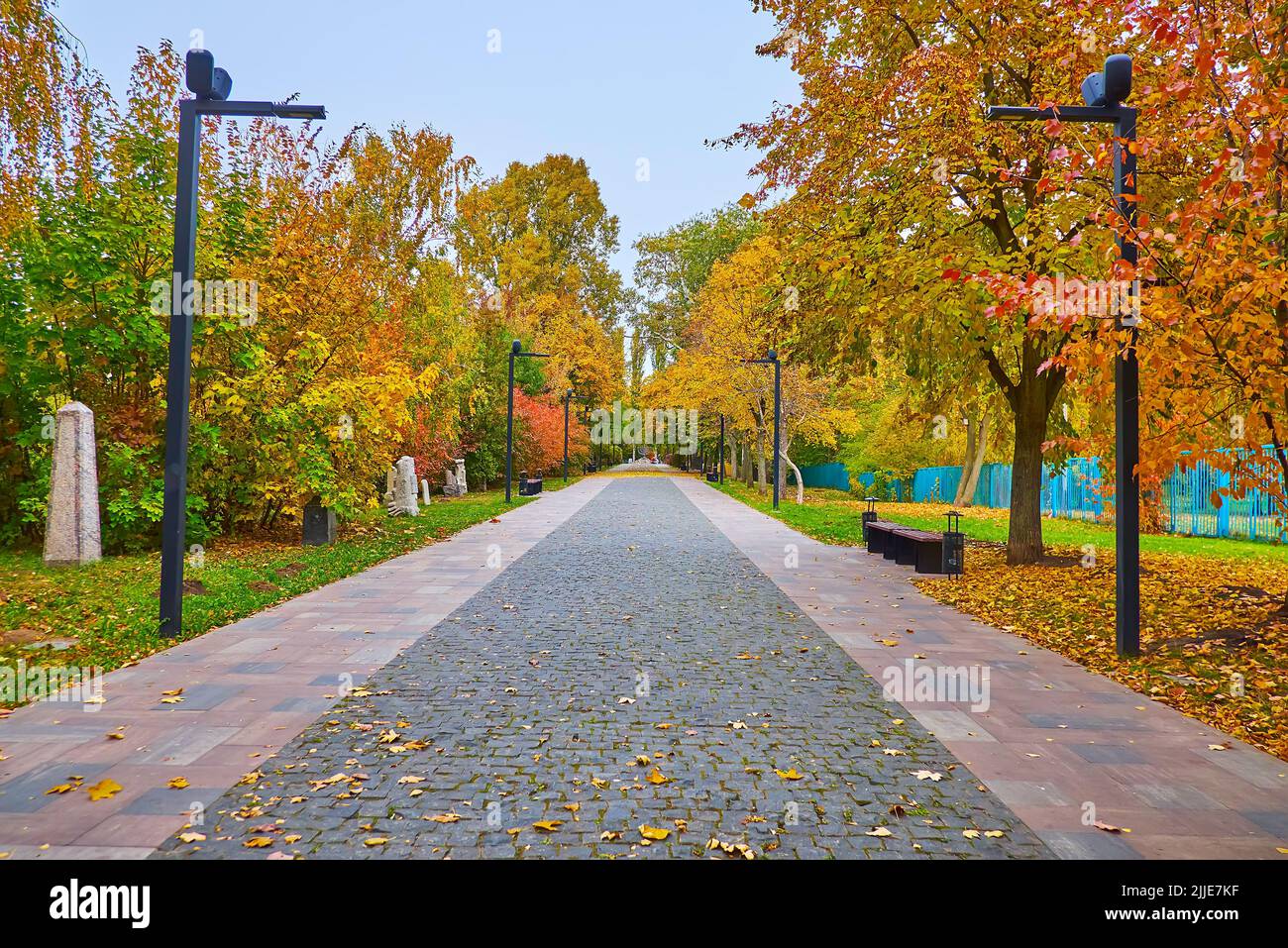 Malerische Herbstbäume mit gelb gefallenen Blättern auf der Straße der Trauer im Holocaust-Memorial-Park Babyn Yar, Kiew, Ukraine Stockfoto