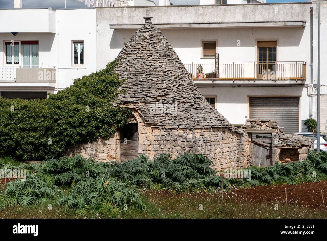 Landschaftlich überwuchert Trullo abgesehen von der Touristenattraktion Tempo in Alberobello, Italien Stockfoto