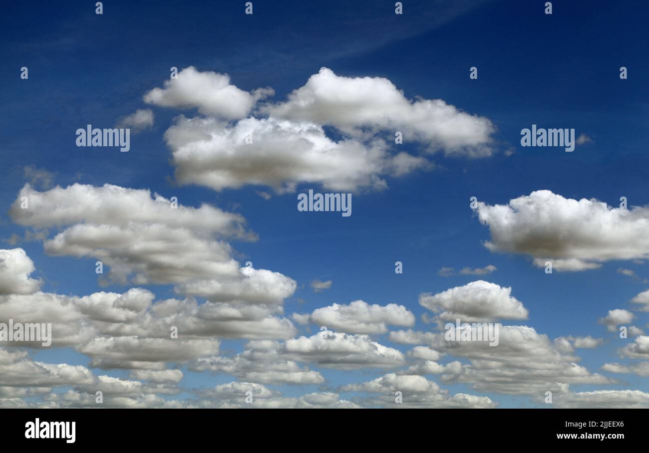 Weiße Wolken, Cumulus, blauer Himmel, England, UK 3 Stockfoto