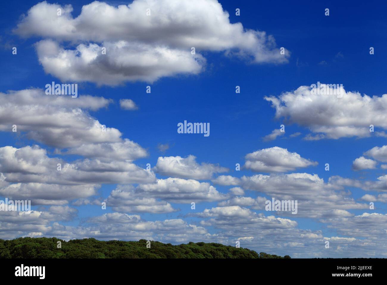 Weiße Wolken, Cumulus, blauer Himmel, Wolke, Himmel, Formation, Meteorologie, England, Großbritannien Stockfoto
