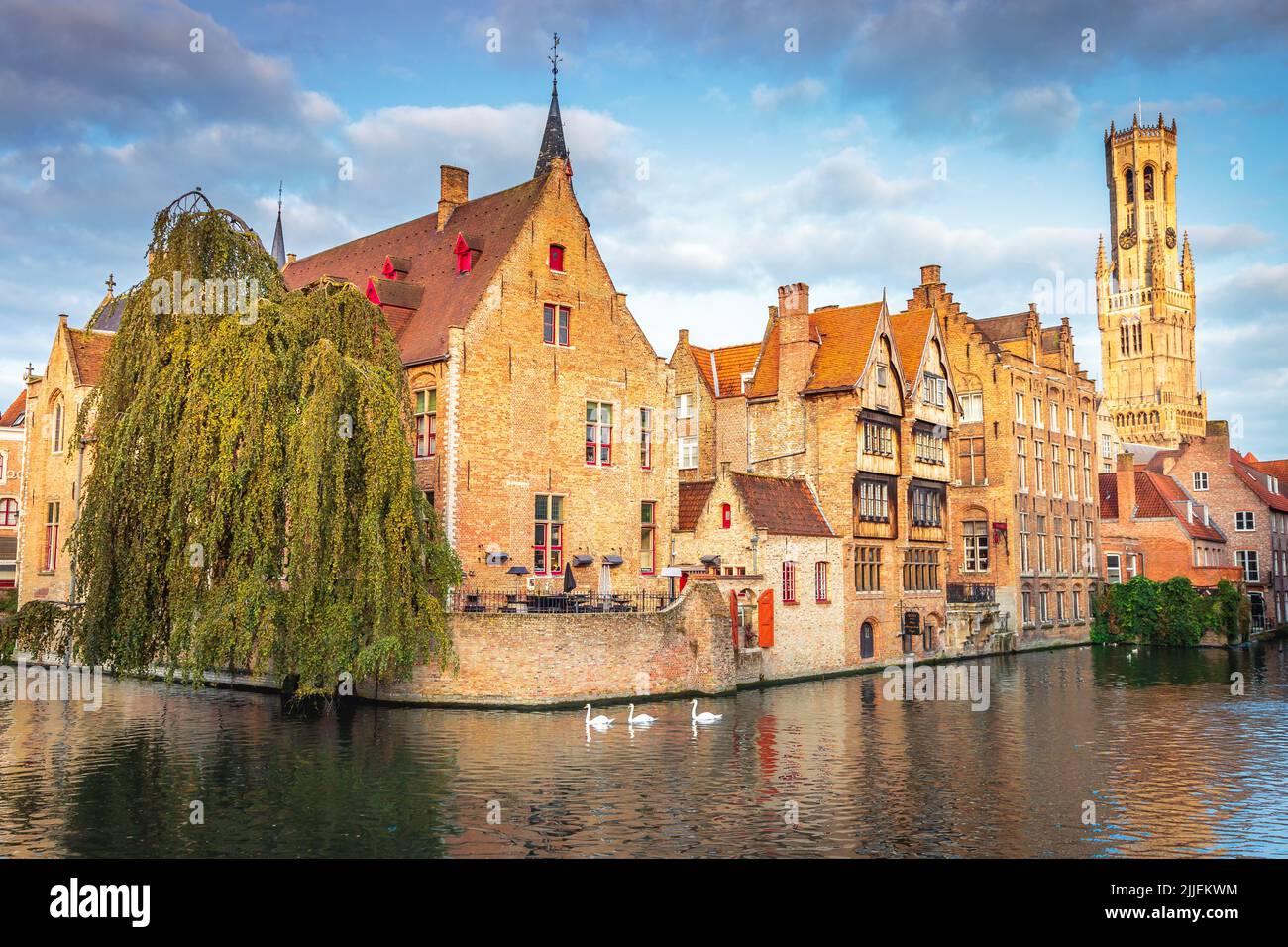 Drei Schwäne im friedlichen rozenhoedkaai, einer mittelalterlichen Bugge-Altstadt, Belgien Stockfoto