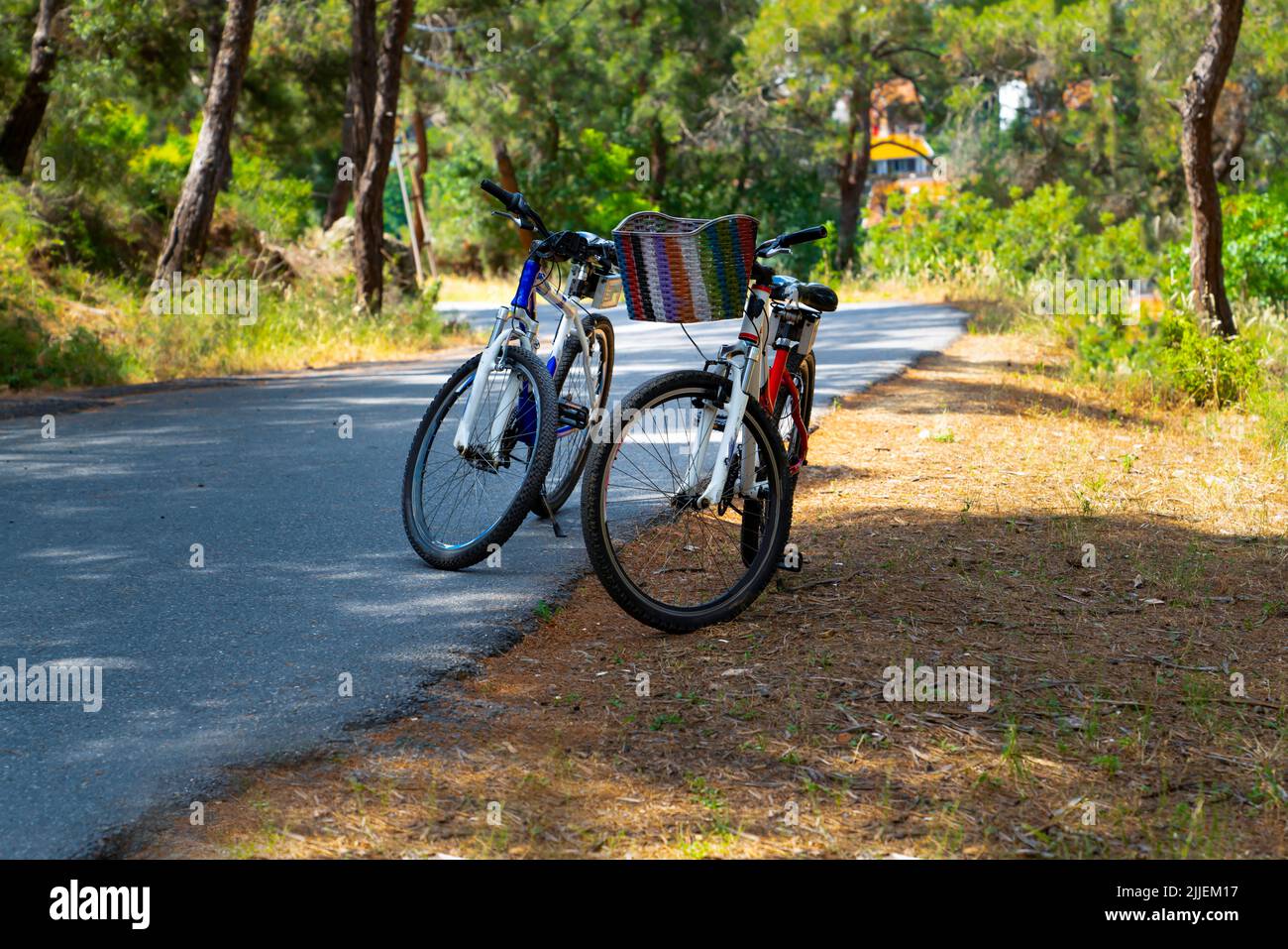 Zeit zum Ausruhen. Zwei Radfahrer parkten ihre Fahrräder im Wald. Stockfoto