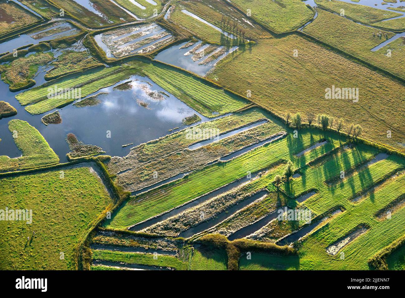 Marschland, Luftaufnahme, Belgien, Flandern, Dudzele Stockfoto