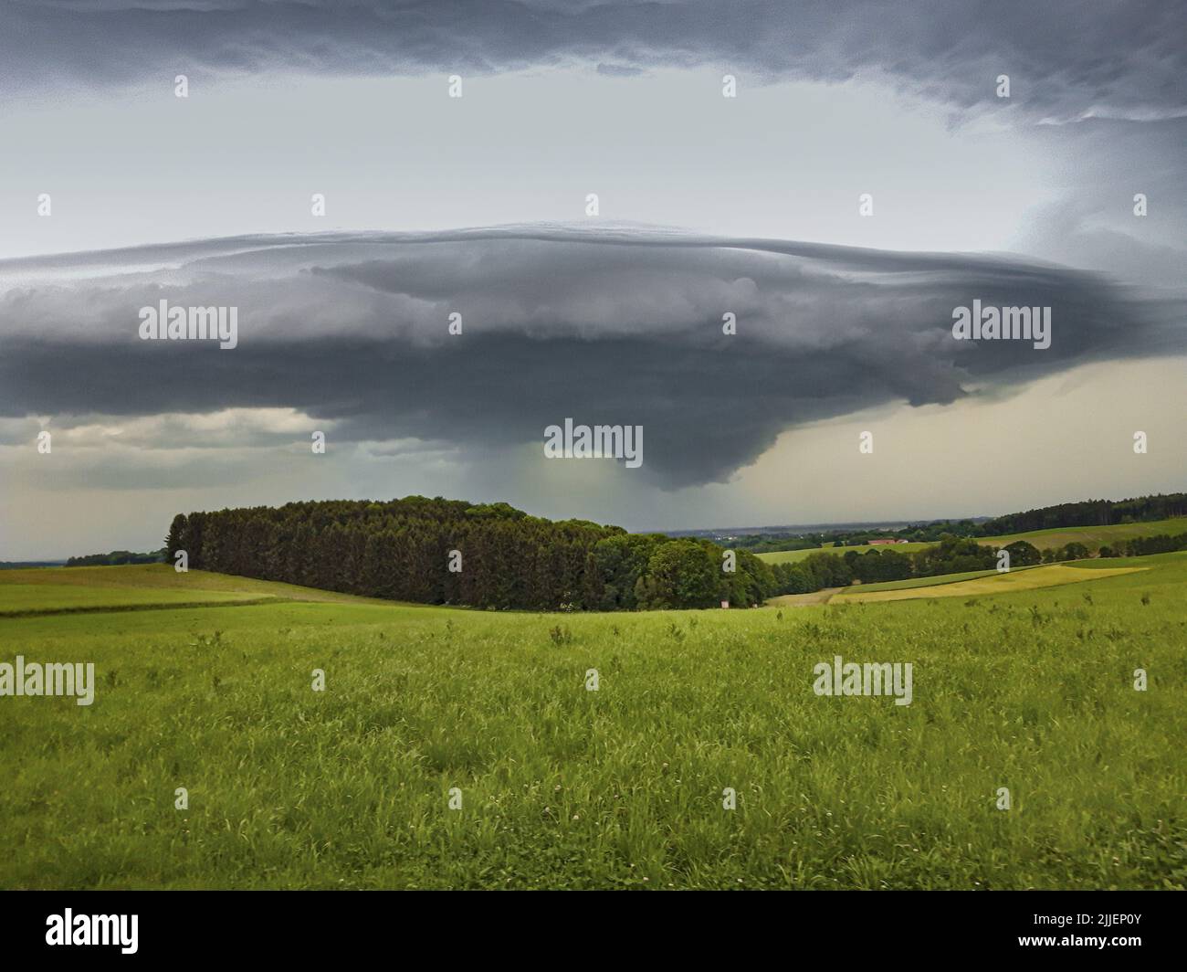 Gewitter, kompakte lokale Gewitterzelle, UFO-Form, Unabhängigkeitstag, Deutschland, Bayern, Erdinger Moos Stockfoto