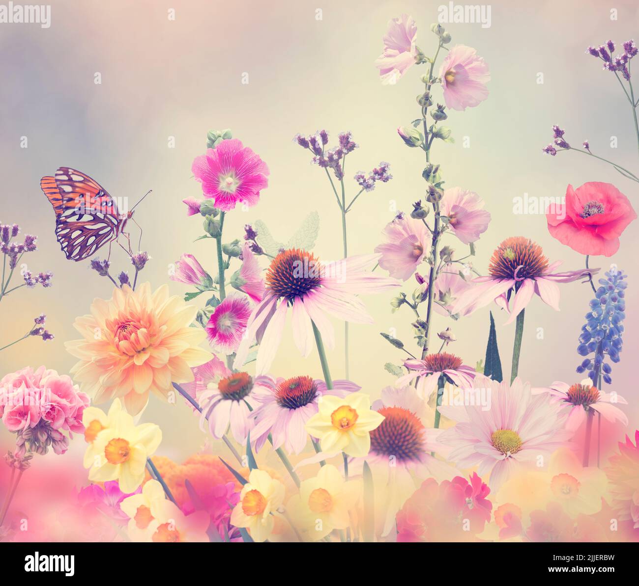 Vielfalt an bunten Blumen im Garten und Schmetterling Stockfoto