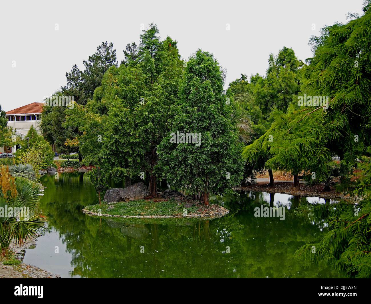 Teich im William Cann Civic Center in Union City, Kalifornien Stockfoto