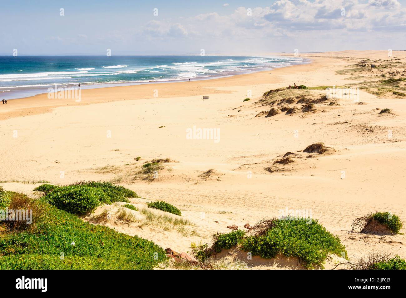 Die sandige Küste des Worimi Regional Park erstreckt sich 25km zwischen Birubi Point und Worimi - Anna Bay, NSW, Australien Stockfoto