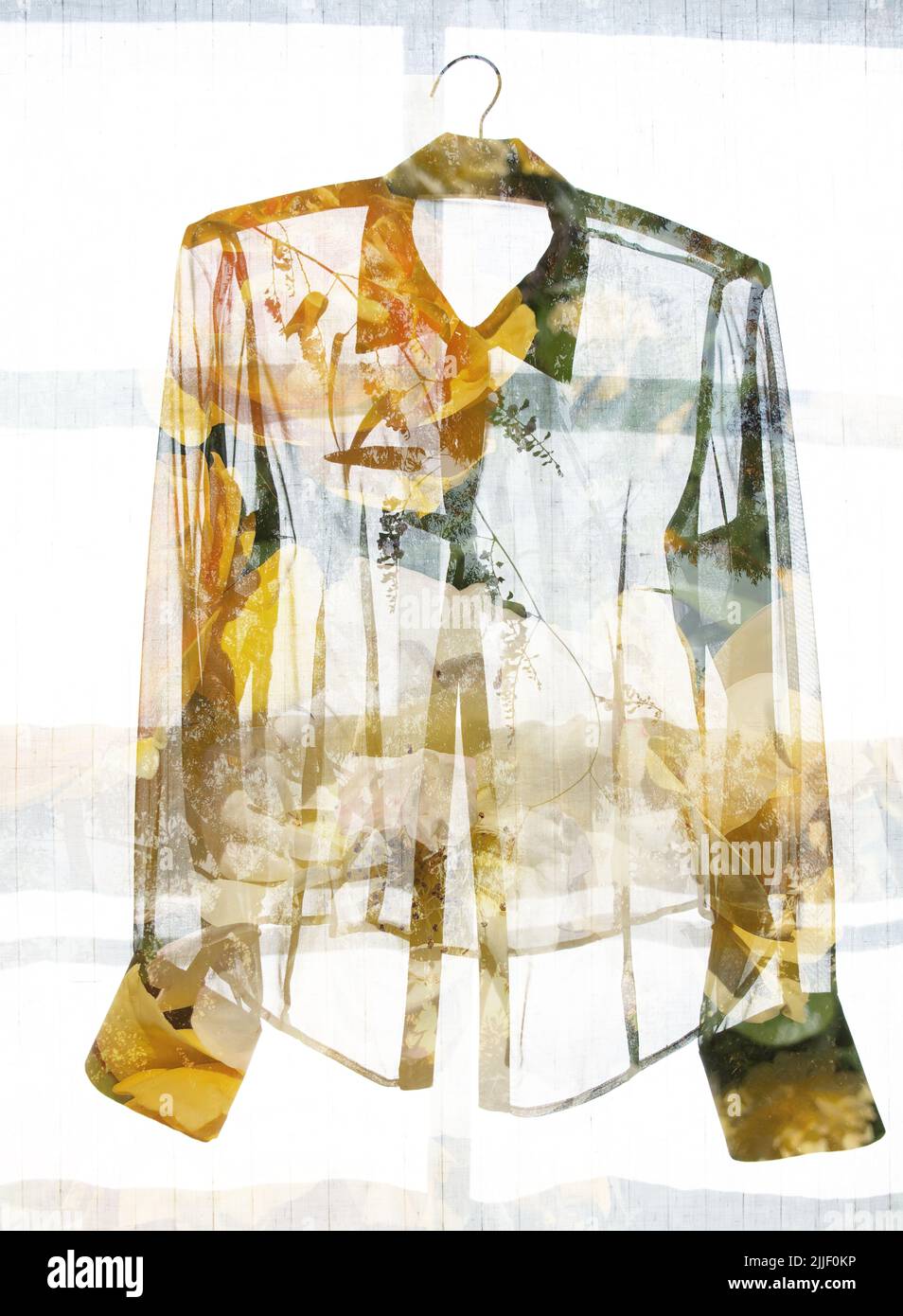 Rose Bluse Stockfoto