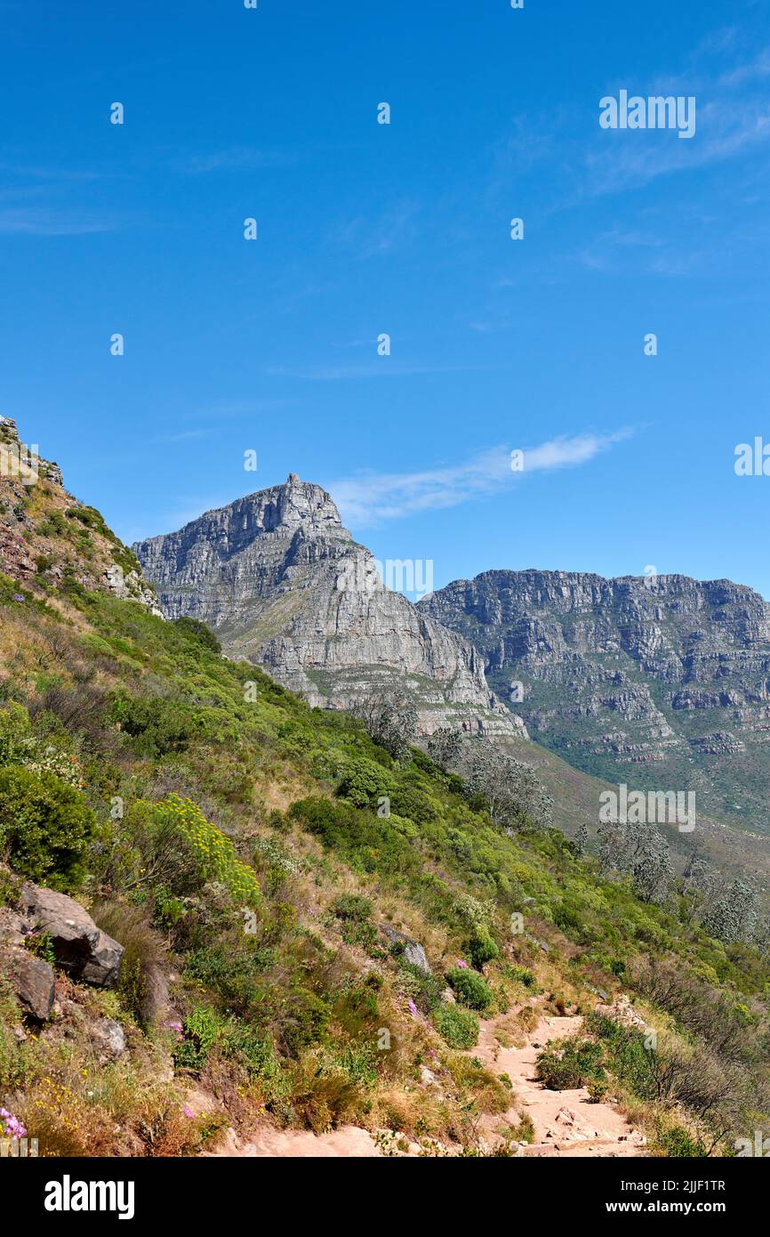 Landschaft, landschaftliche und Copyspace Blick auf Pflanzen, Grün und Sträucher auf einem Berg gegen einen klaren blauen Himmel. Schöne und friedliche natürliche Umgebung Stockfoto