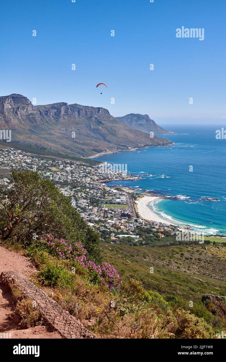 Landschaft, Kopierraum und Meerblick auf Bergwanderweg mit Fynbos-Blumen. Paragleiter fliegen extrem über Berge, Meer und Stadt Stockfoto