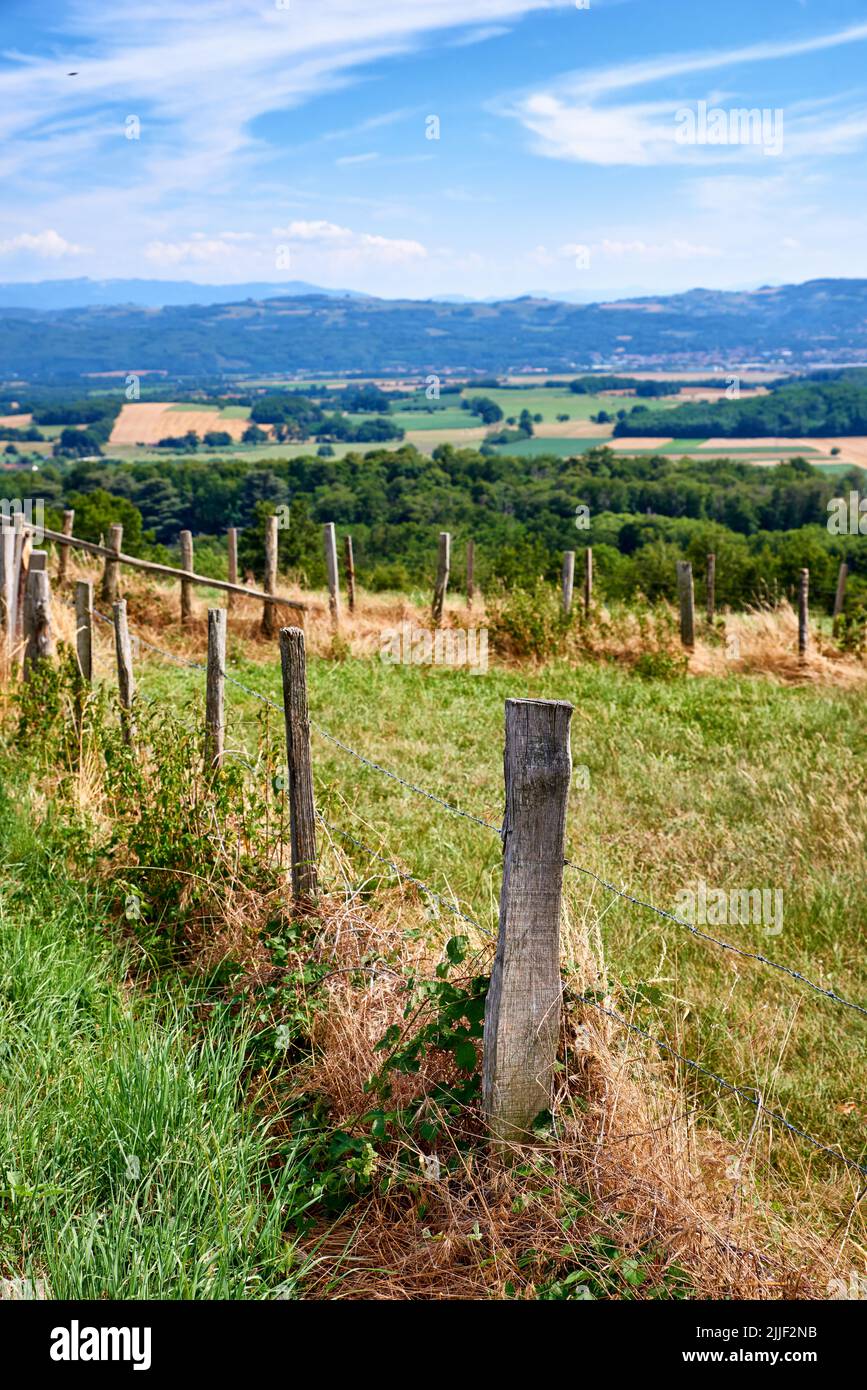 Ackerland mit einem Zaun und einem blau bewölkten Himmel Hintergrund. Landschaft eines nachhaltigen landwirtschaftlichen Betriebs mit Heu wie Gras und Bäumen in einem grünen Stockfoto