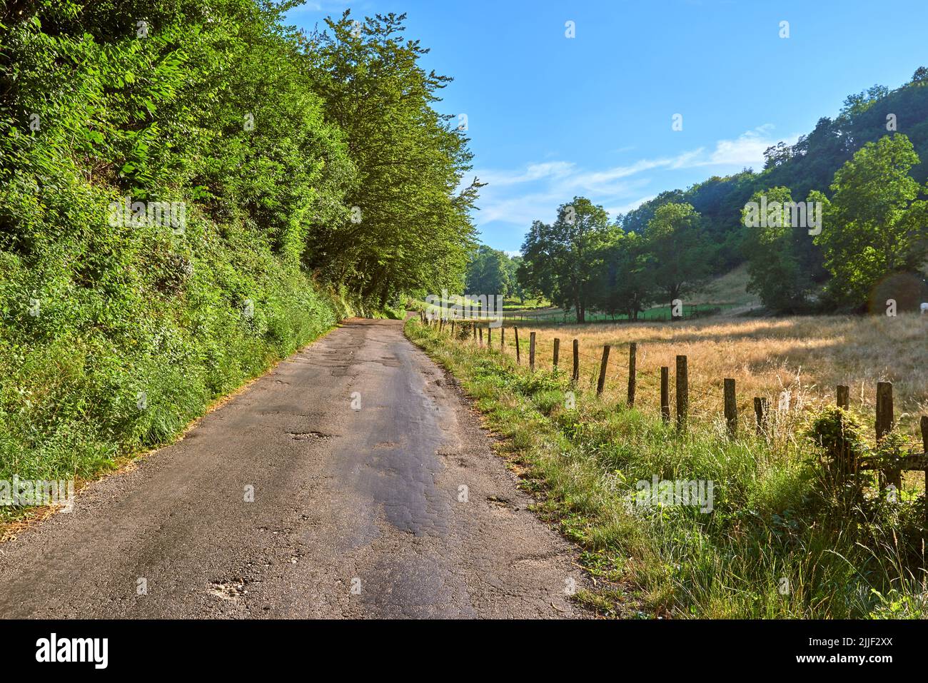 Naturlandschaft Blick auf grüne Landschaft mit einem blauen Himmel Hintergrund. Isolierte Straße in einer natürlichen Umgebung mit wachsenden Gras, Pflanzen und großen Bäumen Stockfoto