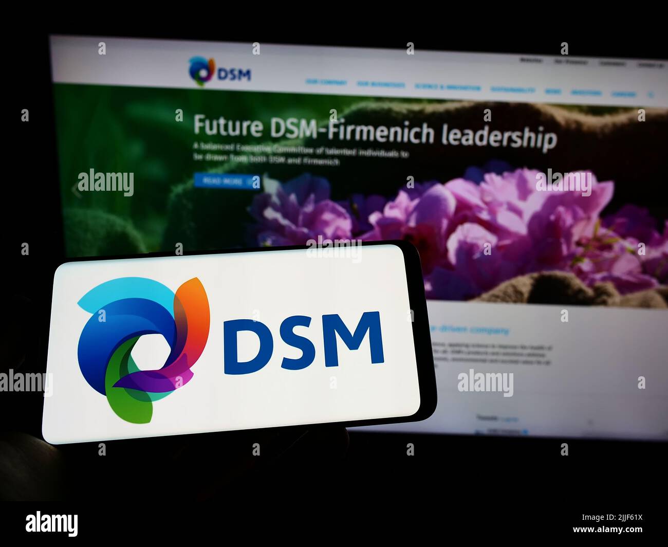 Person, die Mobiltelefon mit Logo des niederländischen Chemieunternehmens Koninklijke DSM NV auf dem Bildschirm vor der Business-Webseite hält. Konzentrieren Sie sich auf die Telefonanzeige. Stockfoto