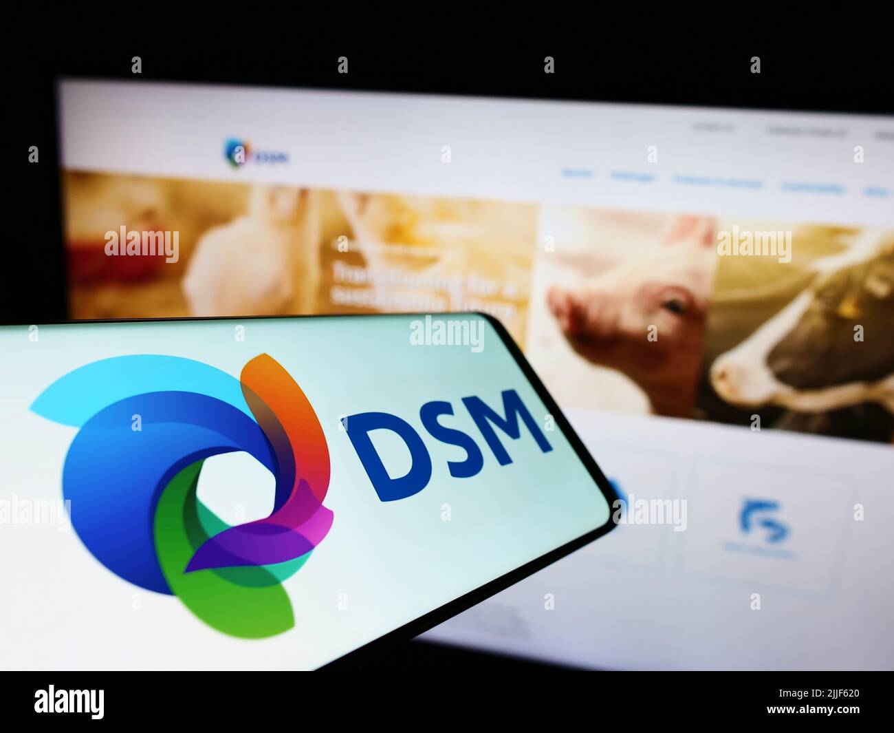 Smartphone mit Logo des niederländischen Chemieunternehmens Koninklijke DSM NV auf dem Bildschirm vor der Business-Website. Konzentrieren Sie sich auf die Mitte links des Telefondisplays. Stockfoto
