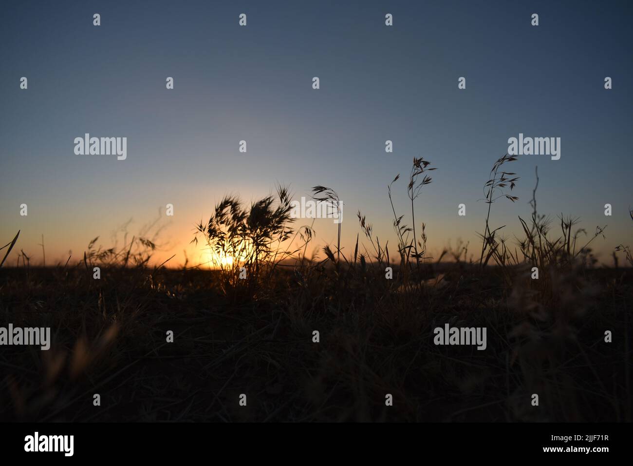 Sonnenuntergang Stockfoto