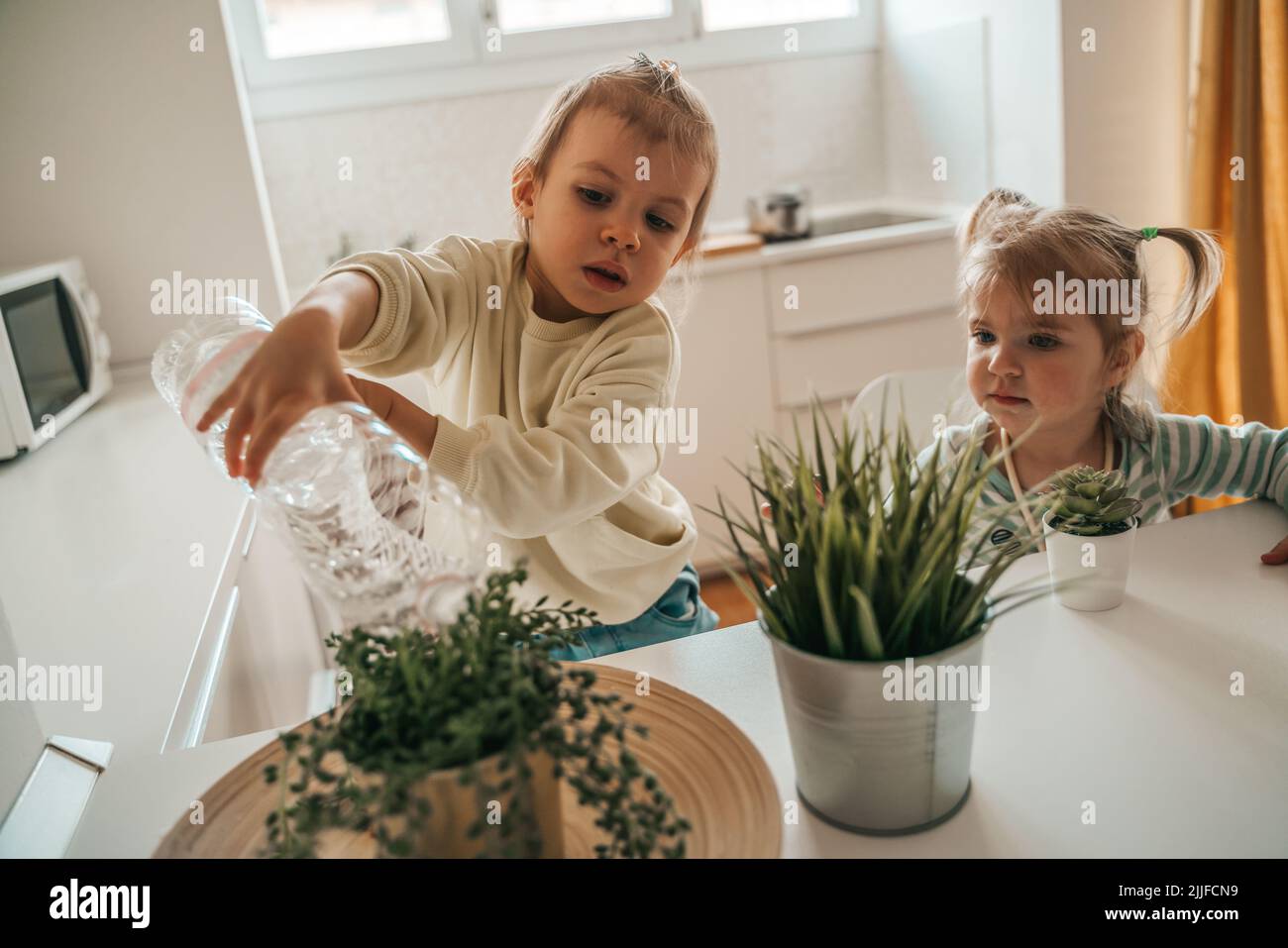 Das kleine Mädchen beobachtet ihren Bruder, der die Topfpflanze wässert Stockfoto