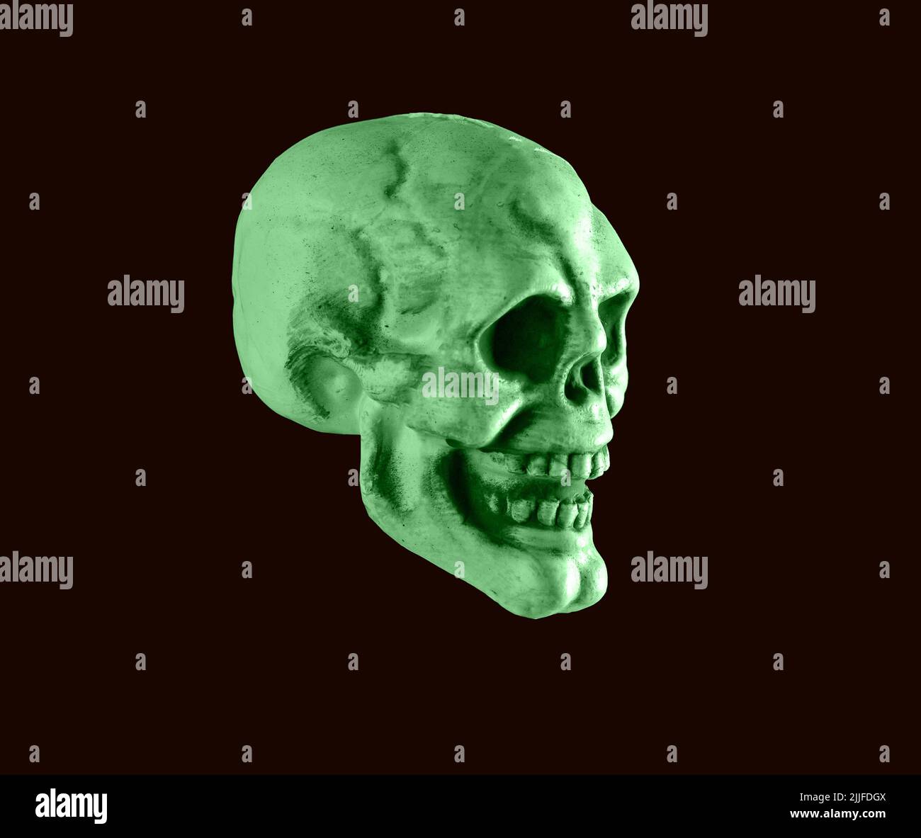 Grüner menschlicher Schädel auf schwarzem Hintergrund. Halloween Urlaub, Horror oder Anatomie Konzept. Hochwertige Fotos Stockfoto
