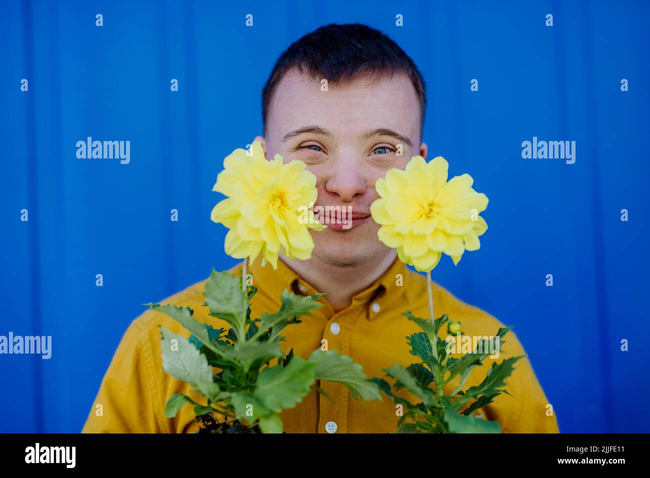 Glücklicher junger Mann mit Down-Syndrom, der die Kamera anschaut und Topfblumen vor blauem Hintergrund hält. Stockfoto