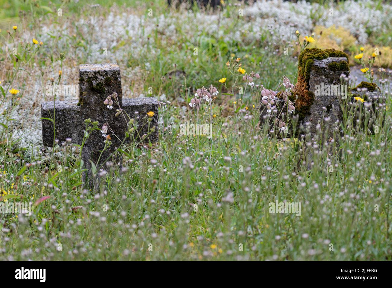 Kreuze zwischen Wildblumen, Dorf Vielle-Louron, Louron-Tal, okzitanie, Pyrenäen-Gebirge, Frankreich Stockfoto