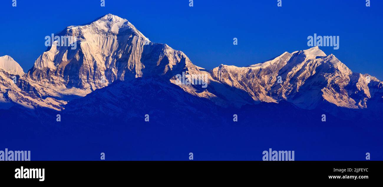 Dhaulagiri Range, Annapurna Range Sunrise, Poon Hill View Point, Ghorepani, Annapurna Conservation Area, Himalaya, Nepal, Asien Stockfoto