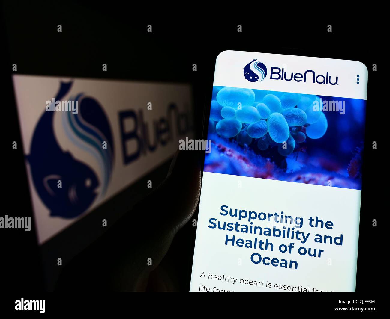 Person, die Mobiltelefon mit der Webseite des amerikanischen Meeresfrüchteunternehmens BlueNalu Inc. Auf dem Bildschirm vor dem Logo hält. Konzentrieren Sie sich auf die Mitte des Telefondisplays. Stockfoto