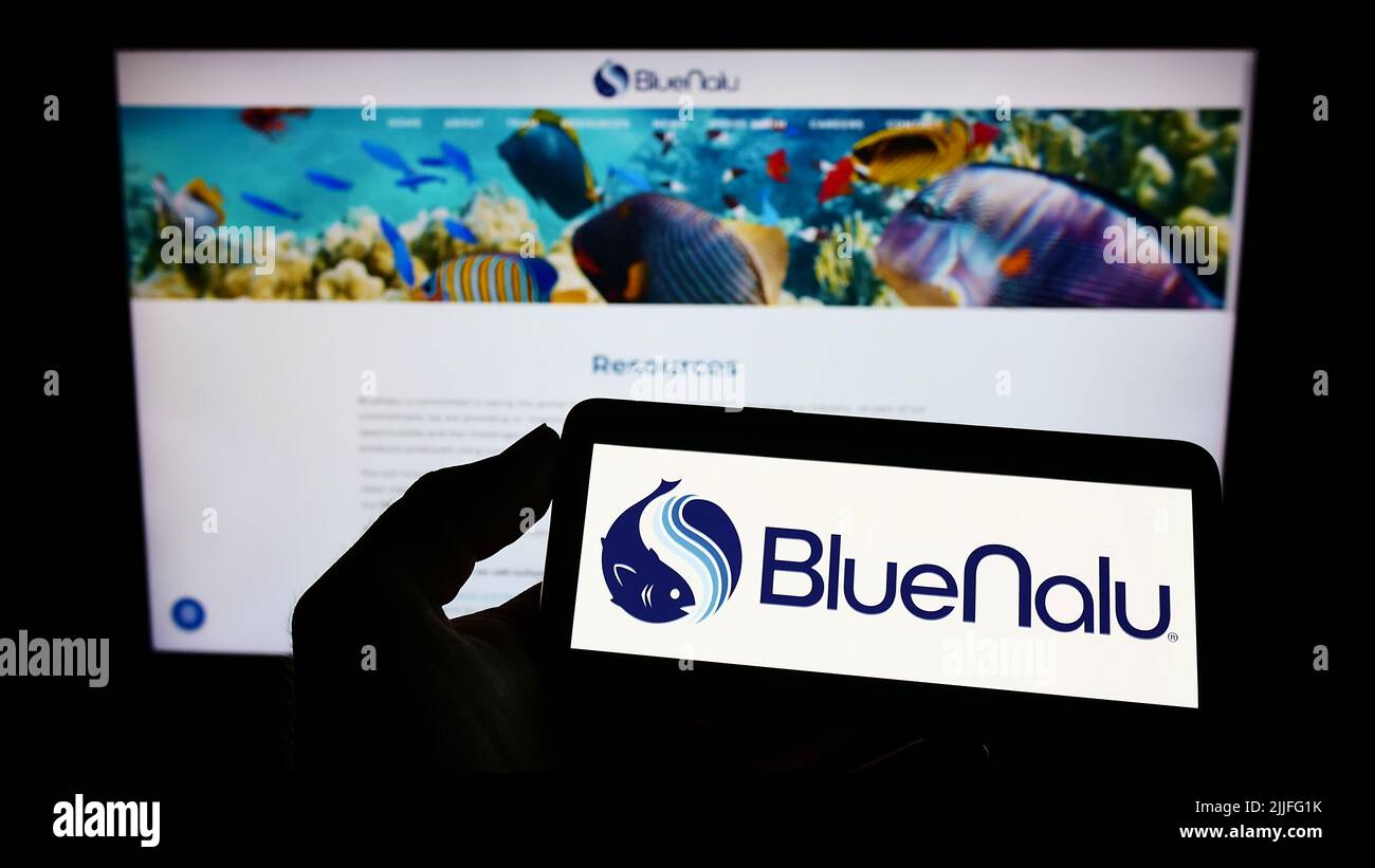 Person, die ein Mobiltelefon mit dem Logo des amerikanischen Meeresfrüchteunternehmens BlueNalu Inc. Auf dem Bildschirm vor der Business-Webseite hält. Konzentrieren Sie sich auf die Telefonanzeige. Stockfoto