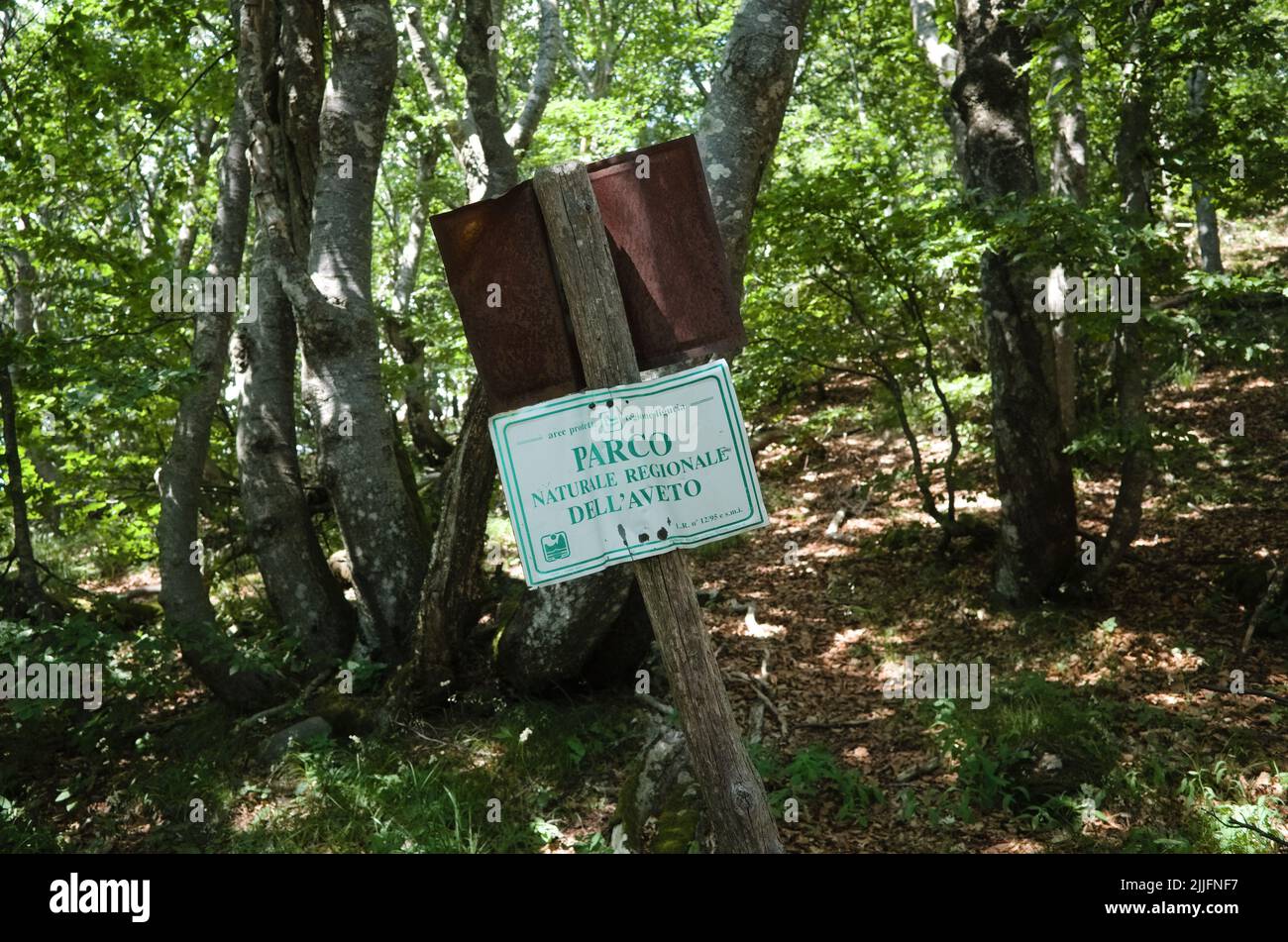Alte gebogene Metallplatte auf Holzmast im Wald mit Inschrift Parco Naturale Regionale dell'Aveto bedeutet Aveto Regional Natural Park aus dem italienischen Stockfoto
