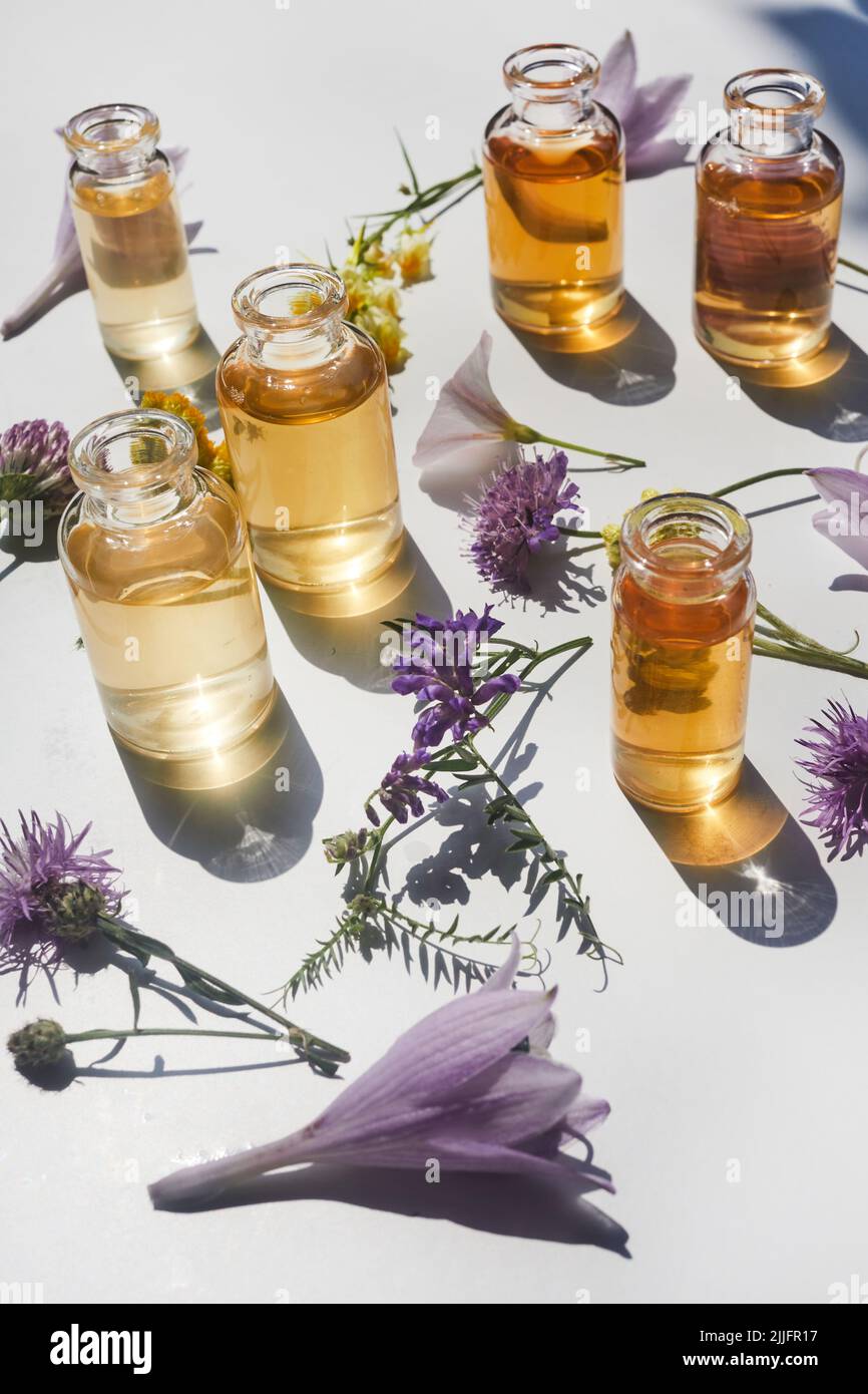 Auswahl an ätherischen Ölen, mit Kräutern und Blumen auf weißem Hintergrund. Draufsicht Stockfoto